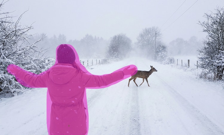 Una persona viene selezionata per la rimozione da una foto di un cervo sulla neve.