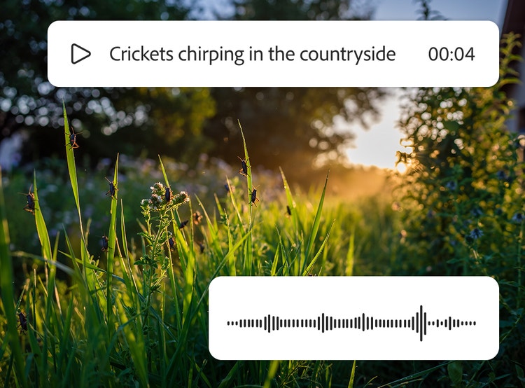 Grilli su alte foglie d'erba in un prato durante l'ora dorata con il prompt "Grilli che friniscono in campagna"