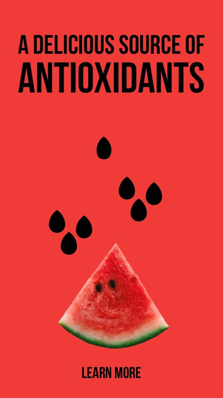 Red and Black Watermelon Instagram Story