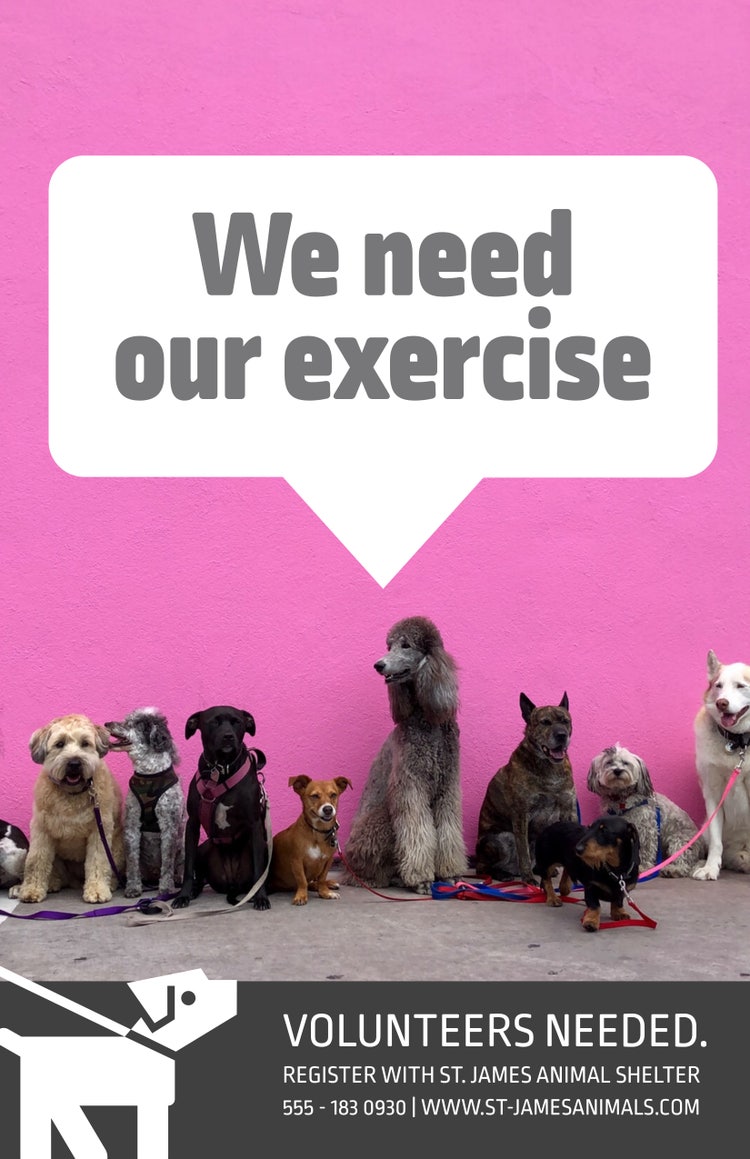 Pink Dog Shelter Volunteering Poster