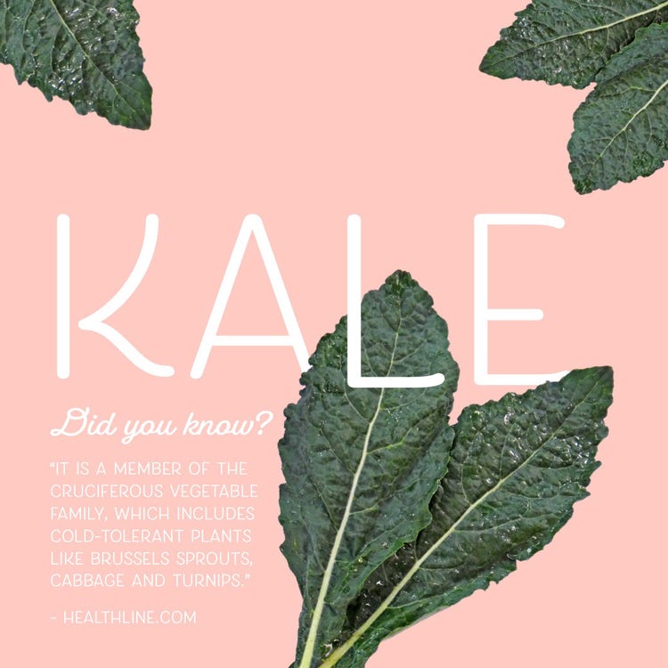 kale facts instagram