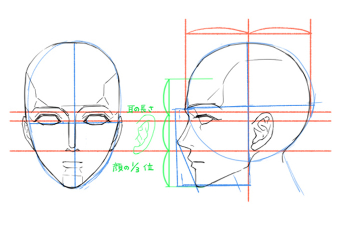 耳のイラストを上手に描く方法 Adobe