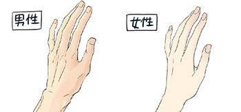 手のイラストを上手に描く方法 Adobe