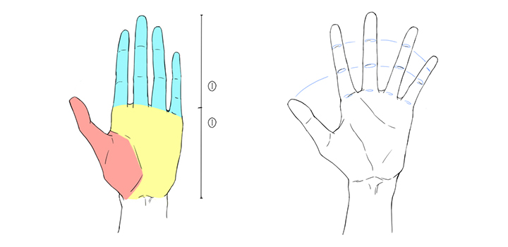 描き 方 手