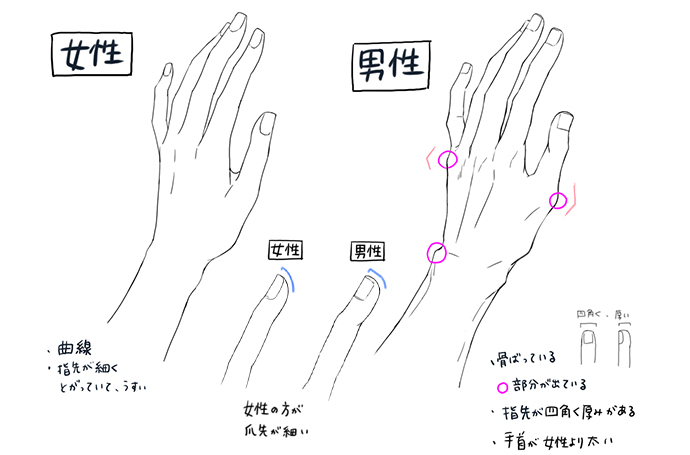 魅力的な手と指のイラストの描き方 男性 女性 老人 子供の描き分けや初心者向けの練習方法