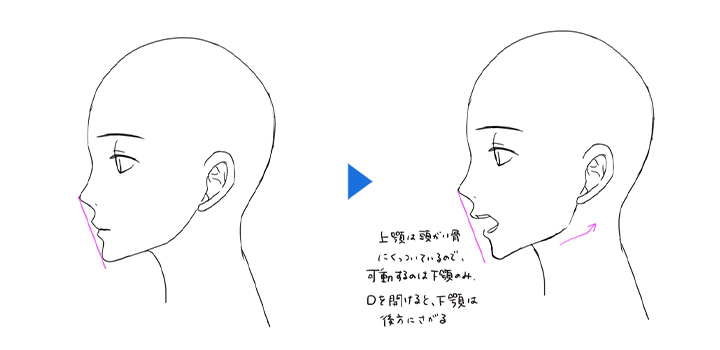 横顔のイラストを上手に描く方法 Adobe