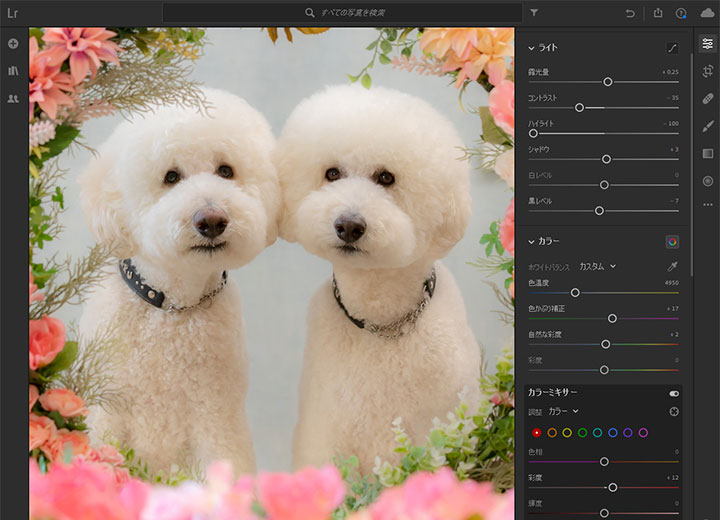 写真の編集/現像機能