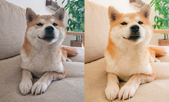 どこからでも写真を編集