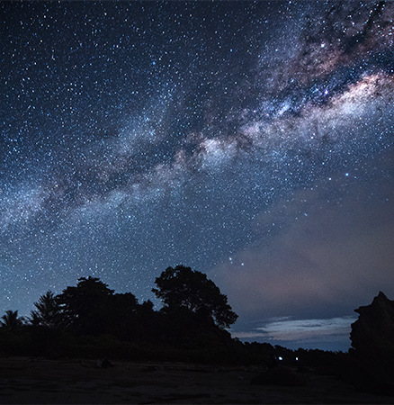 Brilliant astrophotography of the Milky Way over darkened trees.