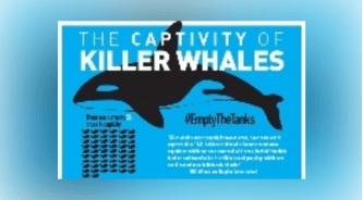 Prezentace výzkumu prostřednictvím působivé infografiky