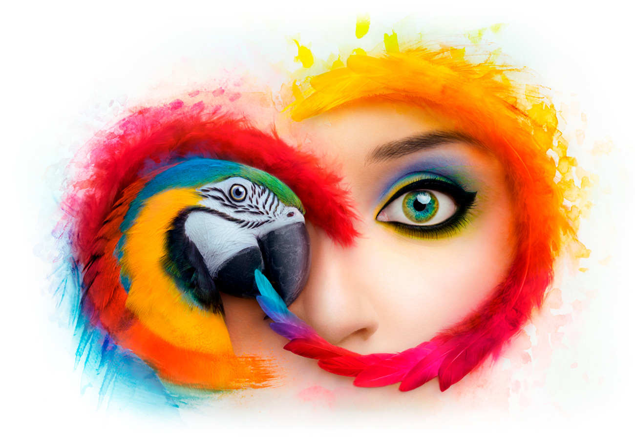 ADOBE CREATIVE CLOUD V.5 2020 خلفية ADOBE CREATIVE CLOUD الرسمية للإصدار 5