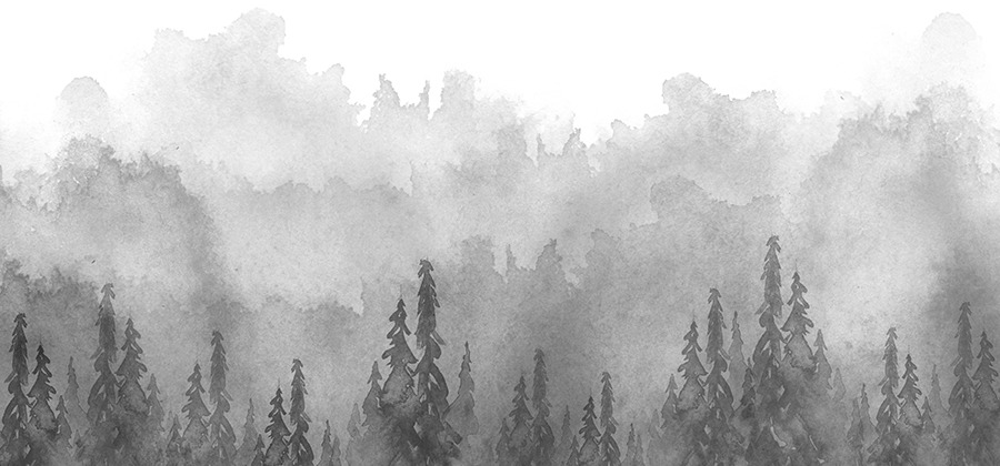 Featured image of post Easy Dark Forest Drawing How to draw dark forest with charcoal pencil full tutorial hello friends in this video i draw a misty forest with charcoal stick and