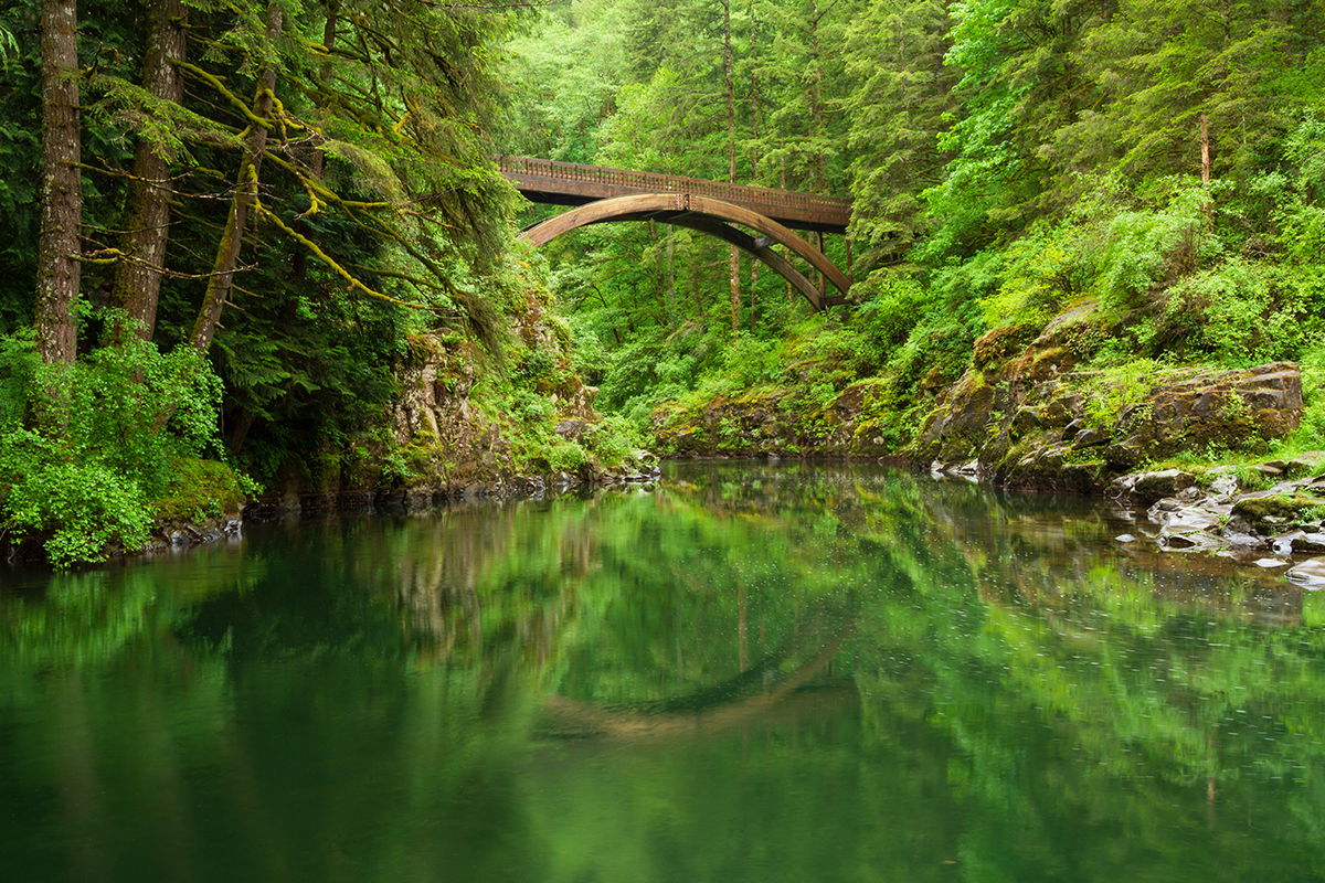 森の撮影 初心者ガイド Adobe