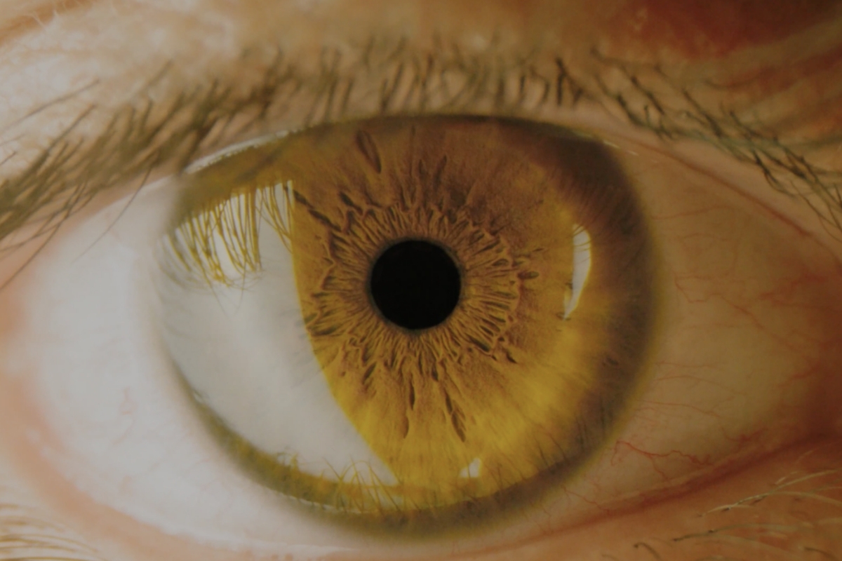 What Are Close Ups Used For At Nancy Hutchinson Blog