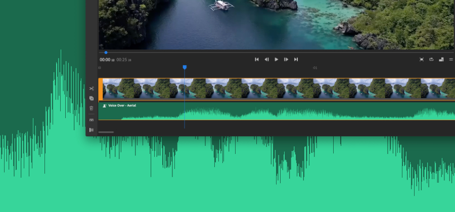 how to remove audio from video mute video adobe