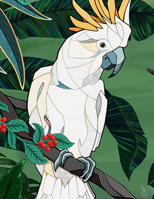 World of birds by Andreas Preis