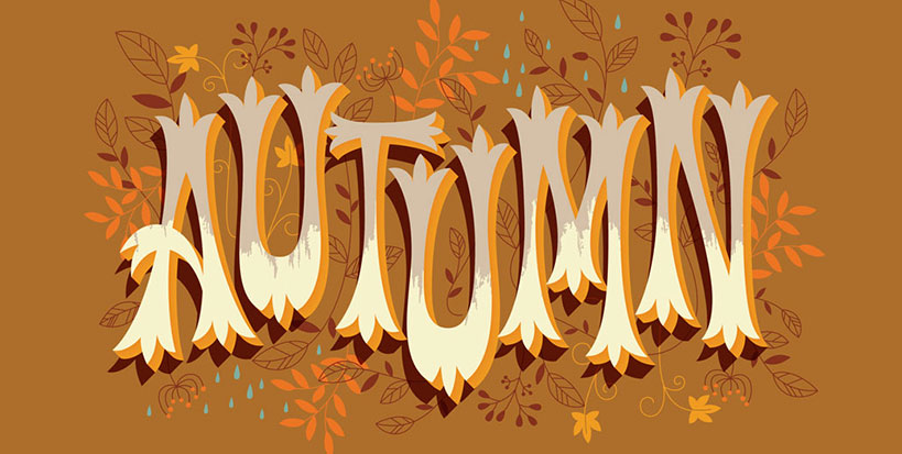 Develop your own fonts with Adobe Illustrator.