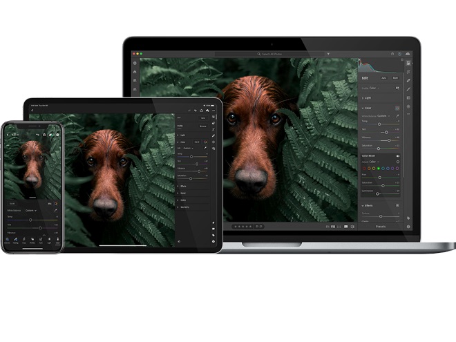 iPhone, tablet and Mac with Photoshop application open and picture of a red setter dog.