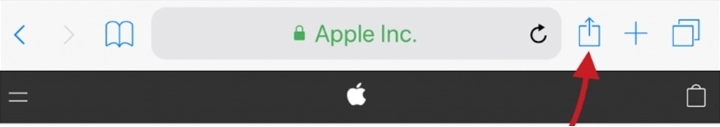 Screenshot zeigt das "Teilen"-Symbol zum speichern von PDF-Dateien.