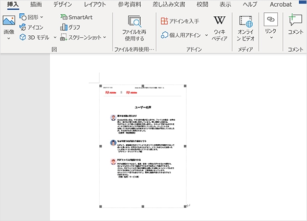 PDFファイルをオブジェクトとして挿入した状態