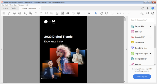 A picture of an open PDF document in the Adobe Acrobat app