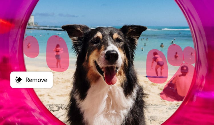 Un perro en la playa con personas de fondo que se han marcado para su eliminación a través de {{lightroom}}