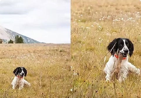 Insertando imagen...