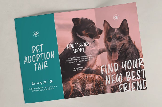 Printed brochure for pet adoption