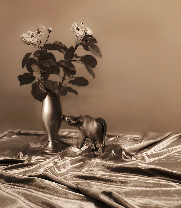 Sepia Photography Adobe Sepia Photography Adobe