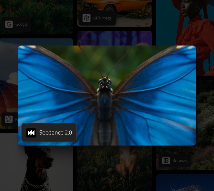 https://main--da-cc--adobecom.aem.page/cc-shared/assets/products/firefly/partner-models/seedance/media_1fc0b46e893c6c21f6b13d362a220e580b207d66d.mp4 | dekorativní