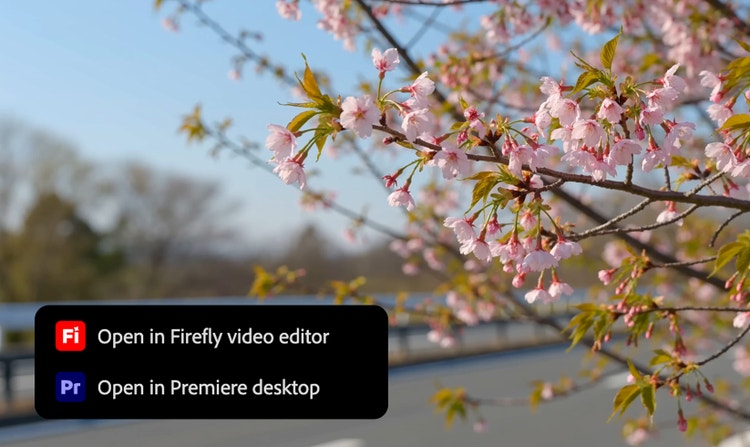 https://main--da-cc--adobecom.aem.page/cc-shared/assets/products/firefly/partner-models/seedance/media_11dee7dfd49d837a34d874f2f4de3897790b5b9a7.mp4#_autoplay | dekorativní