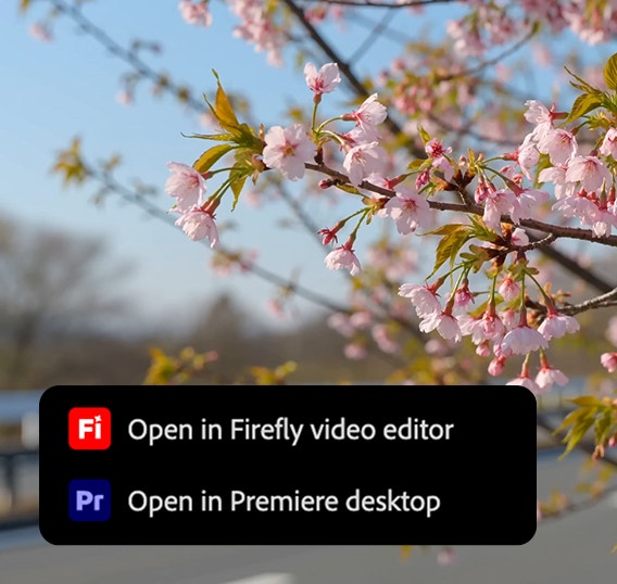 https://main--da-cc--adobecom.aem.page/cc-shared/assets/products/firefly/partner-models/seedance/media_11dee7dfd49d837a34d874f2f4de3897790b5b9a7.mp4#_autoplay | dekorativní