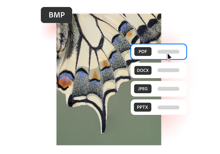 Grafik zeigt eine BMP Datei, wie sie in PDF umgewandelt werden kann
