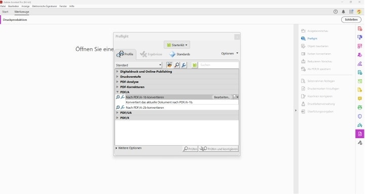 Screenshot aus Acrobat Pro zeigt Konvertierung in PDF/A über Profile.