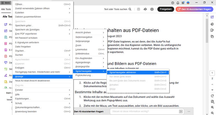 Bedienoberfläche von Acrobat Reader. Das Menü ist aufgeklappt und zeigt den Pfad an, über den sich die Sprachausgabe einschalten lässt: Anzeige - Sprachausgabe - Sprachausgabe aktivieren.
