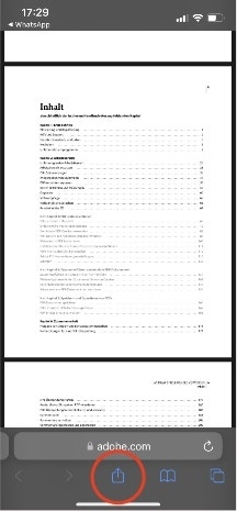 Screenshot zeigt eine PDF im Safari-Browser.