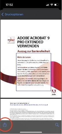 Screenshot zeigt eine PDF-Seite in der Browser-Vorschauansicht.