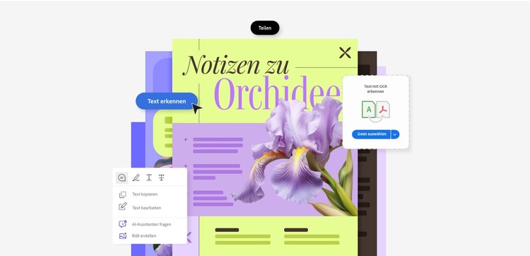 Beispiel-PDF mit dem Bild einer Orchidee