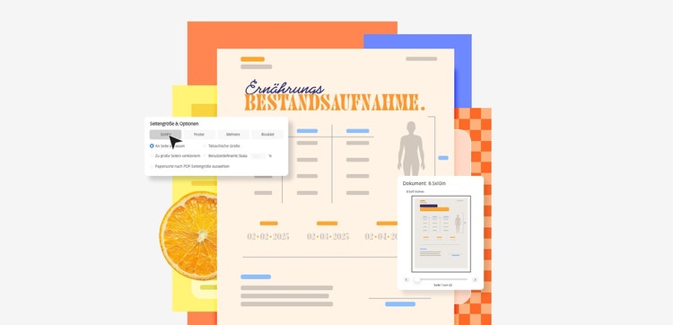 Beispiel-PDF mit dem Titel Ernährungsbestandsaufnahme, im Vordergrund ein Bearbeitungsfeld zum Ändern der Seitengröße.