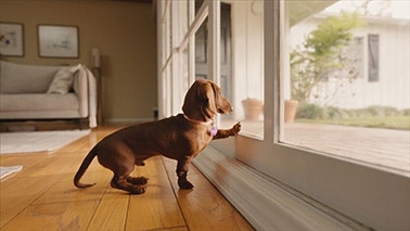 video-pdf-schuetzen-unterschreiben