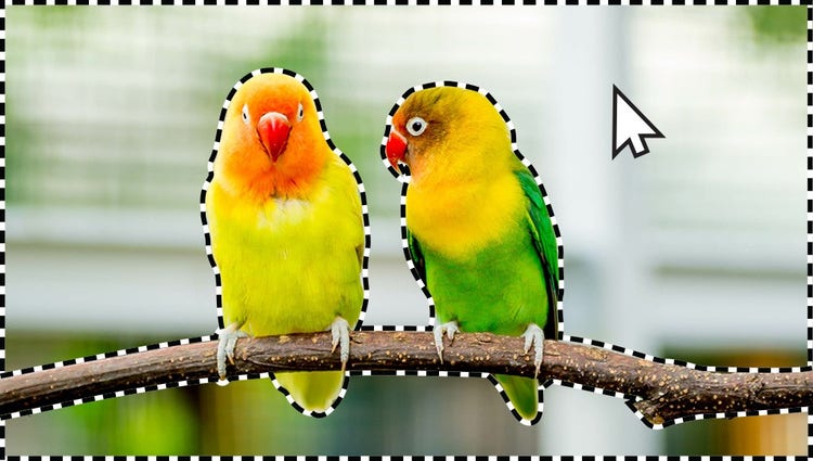 Himmel- oder Hintergrundauswahl mit 1&nbsp;Klick, Bild