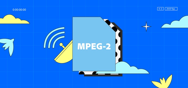 MPEG-2 video-Codec