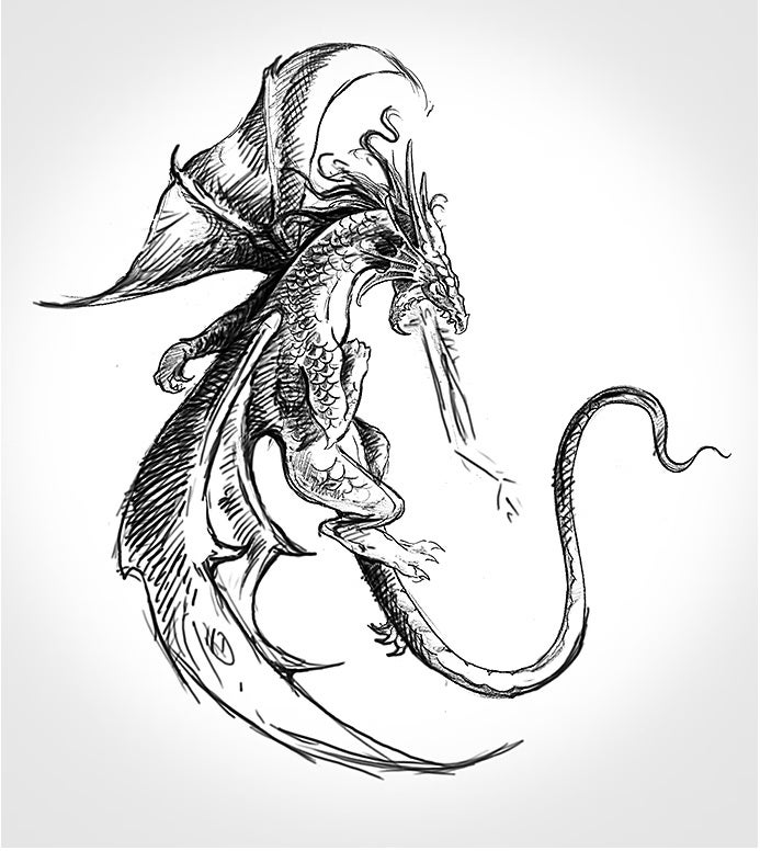 Schwarz-Weiß-Zeichnung eines Drachen
