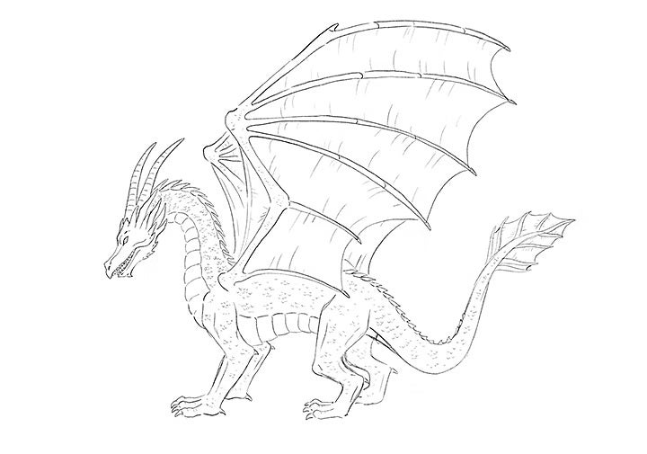 Detaillierte Zeichnung eines Drachen