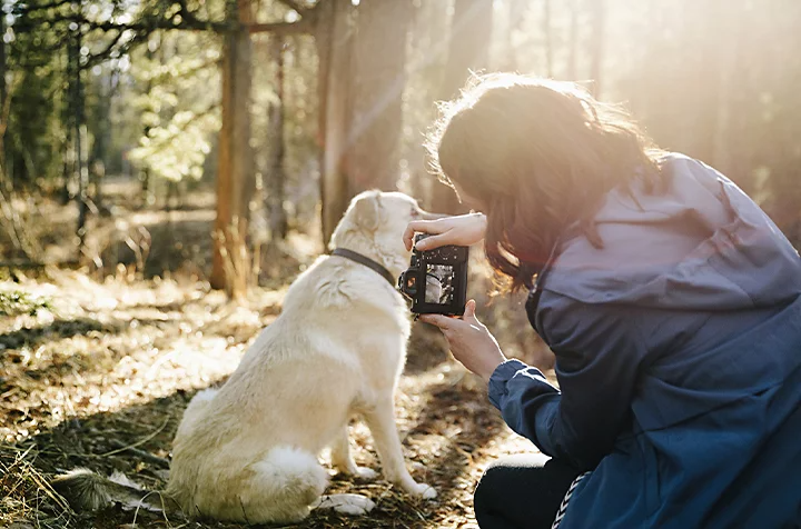 Eine Person mit einer spiegellosen Kamera fotografiert draußen einen Hund.