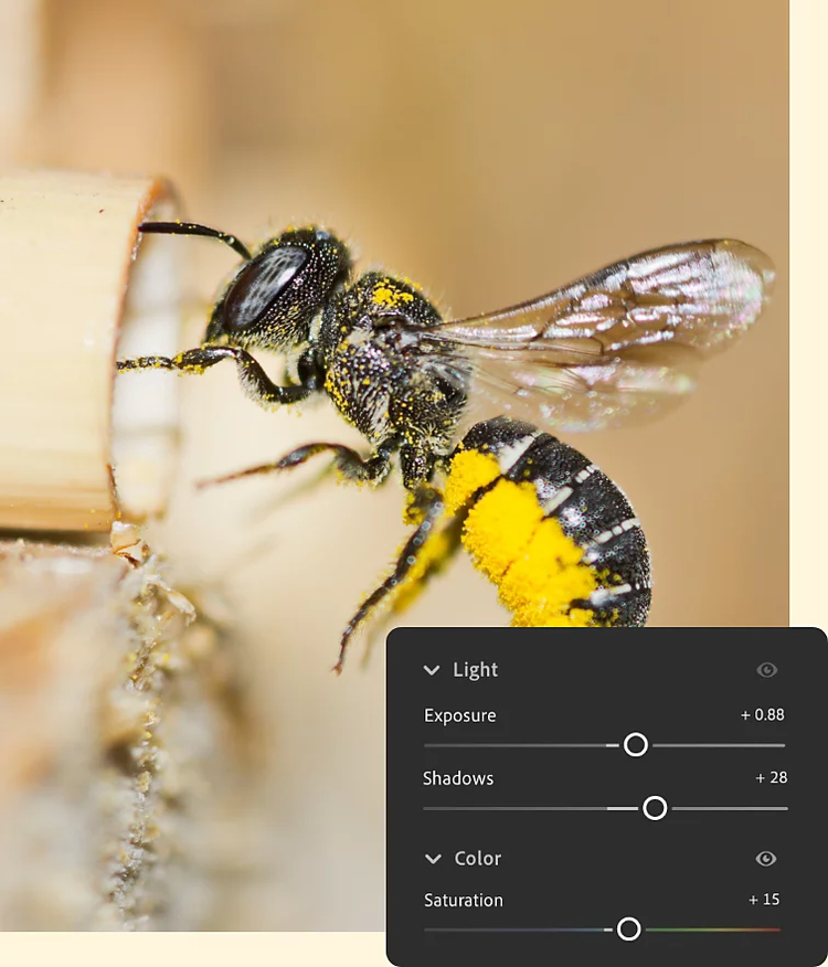Exposure, Shadows, and Saturation sliders superimposed on a close-up photo of a bee.