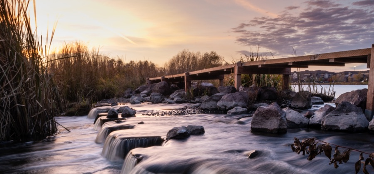 Foto eines Bachs, der unter einer Holzbrücke hindurchfließt, aufgenommen mit einem Neutralfilter