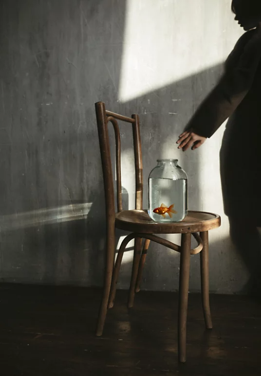 Ein Goldfisch in einem Glas, das auf einem Stuhl steht, mit dem Schatten einer Person im Hintergrund