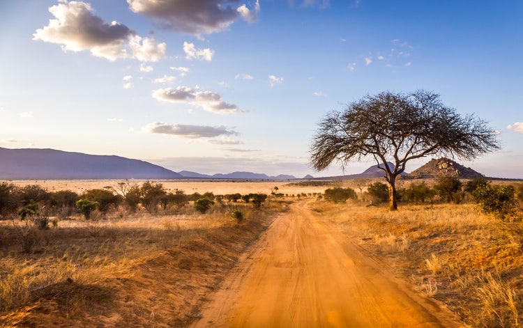 Blick auf Landschaft mit staubiger Straße für Safaris in Kenia
