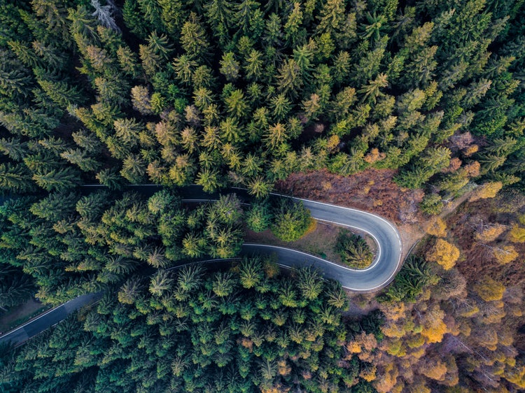 Top Shot von einer Straße im Wald